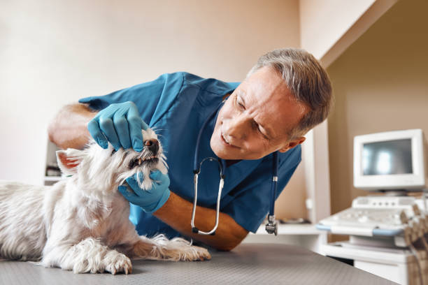 Best Emergency Dentist for Special Needs Patients in Frederick, OK